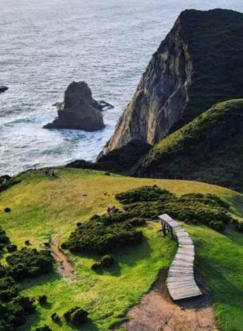Chiloé national park