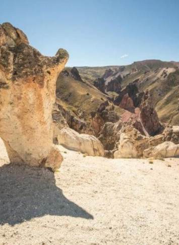 Patagonia national park