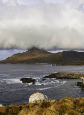 Cabo de Hornos national park
