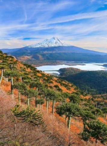 Conguillío National Park
