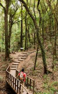 national park Category